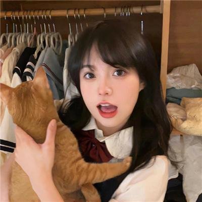 迷蝶